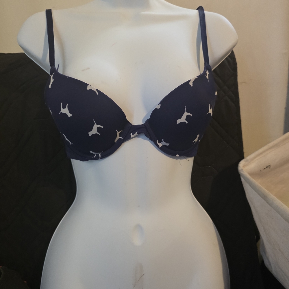 Pink everywhere  pushup 34a Victoria's secret